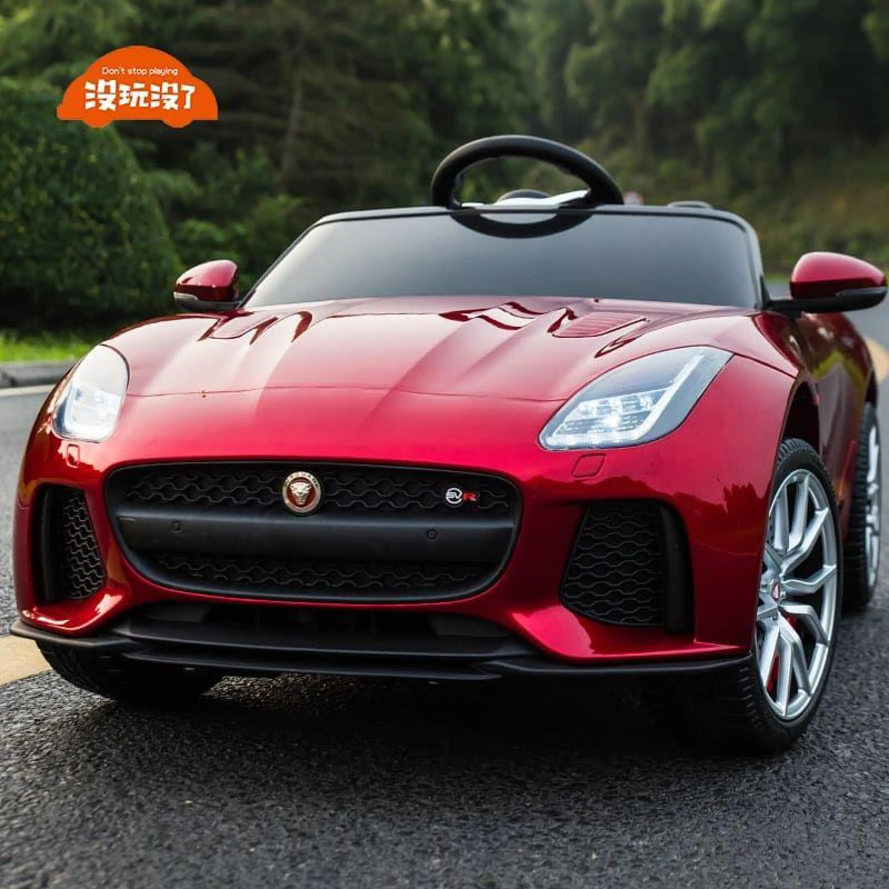 Jaguar Jaguar