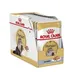 غذای گربه رویال کنین – ROYAL CANIN Adult Persian وزن 85 گرم
