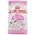 غذای خشک گربه  رویال کنین مدل and baby cat motherوزن 400 گرم