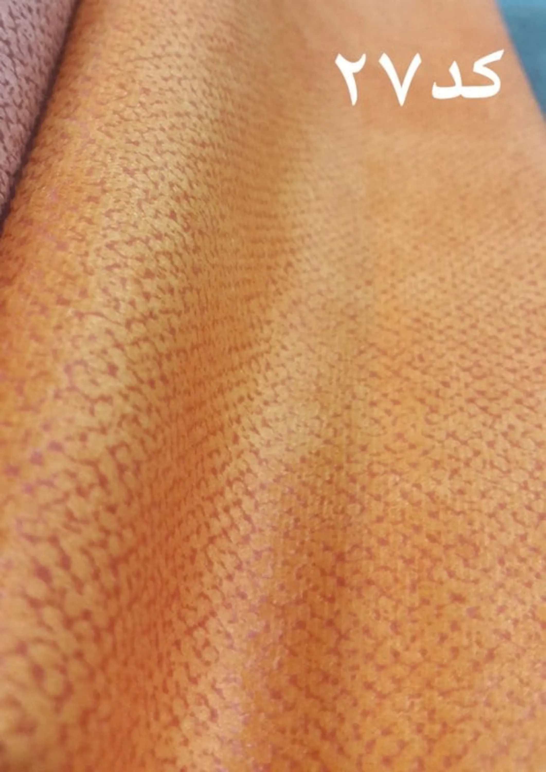 رنگ بندی پارچه مبلی پالما رنگ بندی پارچه مبلی پالما