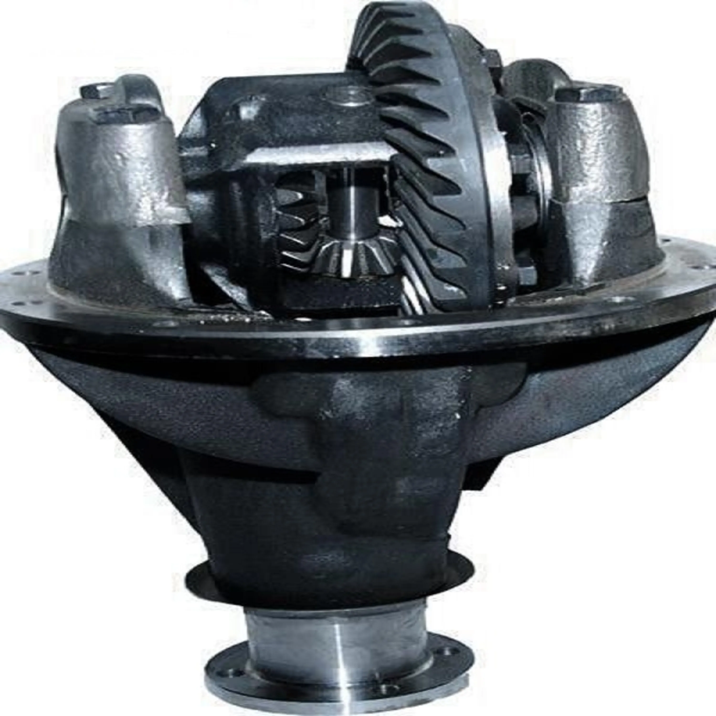 کله گاوی پیکان کله گاوی پیکان